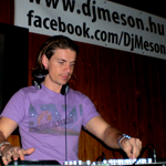 dj meson